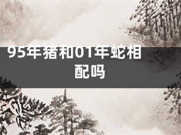 95年猪和01年蛇相配吗