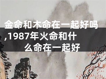 金命和木命在一起好吗,1987年火命和什么命在一起好