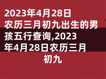 2023年4月28日农历三月初九出生的男孩五行查询,2023年4月28日农历三月初九