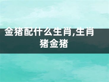 金猪配什么生肖,生肖猪金猪