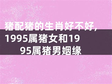 猪配猪的生肖好不好,1995属猪女和1995属猪男姻缘