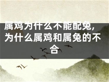 属鸡为什么不能配兔,为什么属鸡和属兔的不合