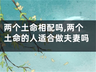 两个土命相配吗,两个土命的人适合做夫妻吗