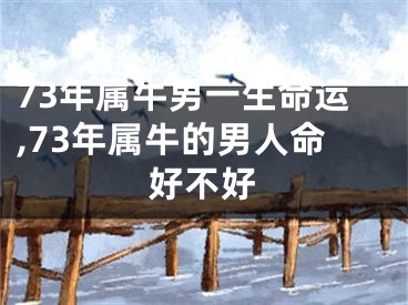 73年属牛男一生命运,73年属牛的男人命好不好