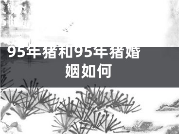 95年猪和95年猪婚姻如何
