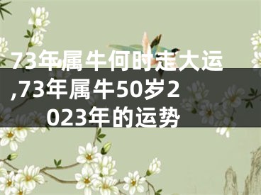73年属牛何时走大运,73年属牛50岁2023年的运势