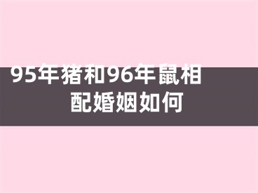 95年猪和96年鼠相配婚姻如何
