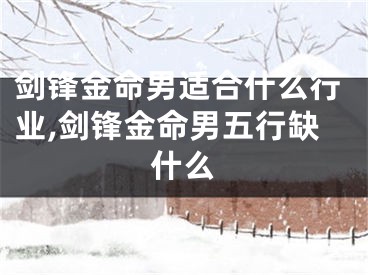 剑锋金命男适合什么行业,剑锋金命男五行缺什么