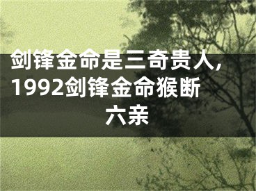 剑锋金命是三奇贵人,1992剑锋金命猴断六亲