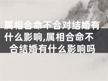 属相合命不合对结婚有什么影响,属相合命不合结婚有什么影响吗