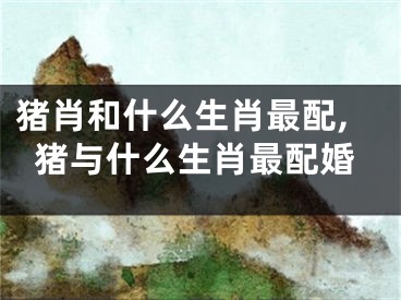 猪肖和什么生肖最配,猪与什么生肖最配婚