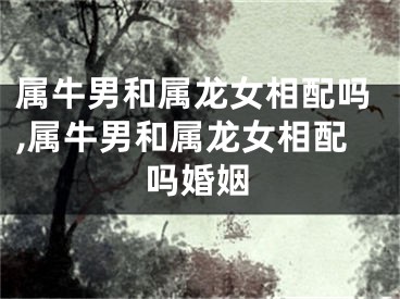 属牛男和属龙女相配吗,属牛男和属龙女相配吗婚姻