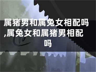 属猪男和属兔女相配吗,属兔女和属猪男相配吗