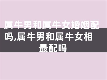属牛男和属牛女婚姻配吗,属牛男和属牛女相最配吗