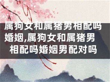 属狗女和属猪男相配吗婚姻,属狗女和属猪男相配吗婚姻男配对吗