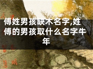 傅姓男孩缺木名字,姓傅的男孩取什么名字牛年