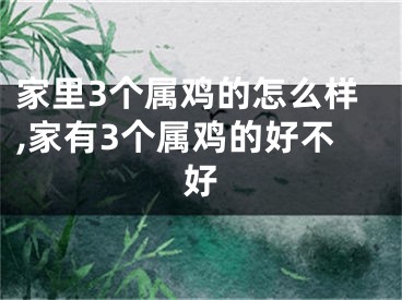 家里3个属鸡的怎么样,家有3个属鸡的好不好
