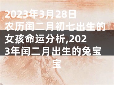 2023年3月28日农历闰二月初七出生的女孩命运分析,2023年闰二月出生的兔宝宝
