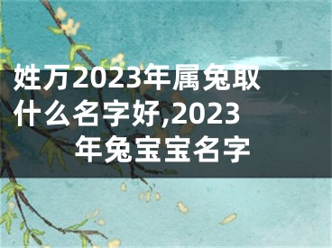姓万2023年属兔取什么名字好,2023年兔宝宝名字