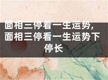 面相三停看一生运势,面相三停看一生运势下停长