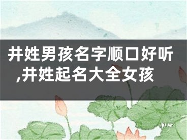 井姓男孩名字顺口好听,井姓起名大全女孩