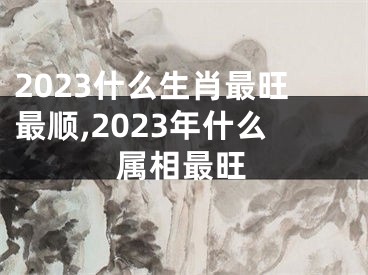 2023什么生肖最旺最顺,2023年什么属相最旺