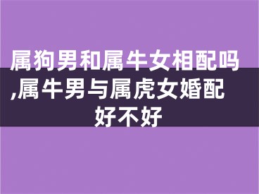 属狗男和属牛女相配吗,属牛男与属虎女婚配好不好