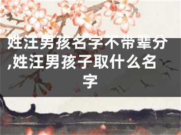 姓汪男孩名字不带辈分,姓汪男孩子取什么名字