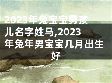 2023年兔宝宝男孩儿名字姓马,2023年兔年男宝宝几月出生好