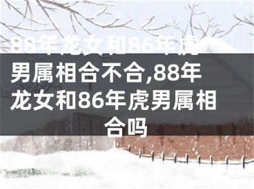 88年龙女和86年虎男属相合不合,88年龙女和86年虎男属相合吗