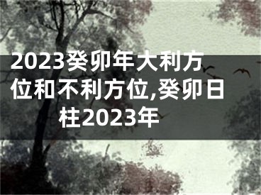 2023癸卯年大利方位和不利方位,癸卯日柱2023年