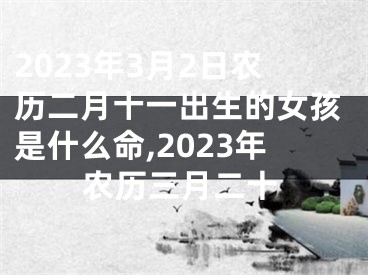 2023年3月2日农历二月十一出生的女孩是什么命,2023年农历三月二十