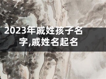 2023年戚姓孩子名字,戚姓名起名