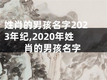 姓肖的男孩名字2023年纪,2020年姓肖的男孩名字
