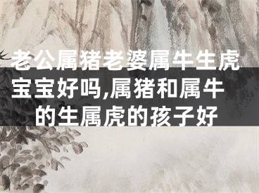 老公属猪老婆属牛生虎宝宝好吗,属猪和属牛的生属虎的孩子好