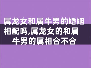 属龙女和属牛男的婚姻相配吗,属龙女的和属牛男的属相合不合