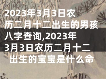 2023年3月3日农历二月十二出生的男孩八字查询,2023年3月3日农历二月十二出生的宝宝是什么命