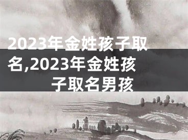 2023年金姓孩子取名,2023年金姓孩子取名男孩