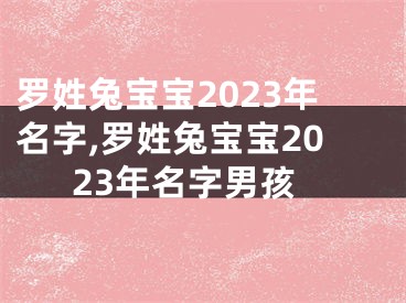 罗姓兔宝宝2023年名字,罗姓兔宝宝2023年名字男孩