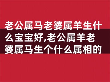 老公属马老婆属羊生什么宝宝好,老公属羊老婆属马生个什么属相的