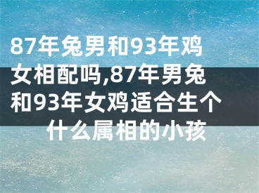 87年兔男和93年鸡女相配吗,87年男兔和93年女鸡适合生个什么属相的小孩