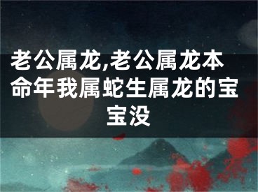 老公属龙,老公属龙本命年我属蛇生属龙的宝宝没
