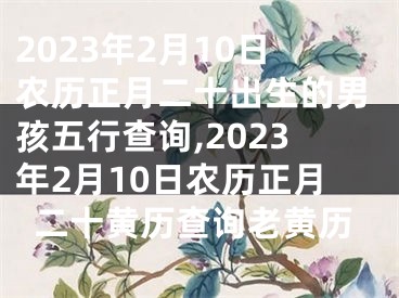 2023年2月10日农历正月二十出生的男孩五行查询,2023年2月10日农历正月二十黄历查询老黄历