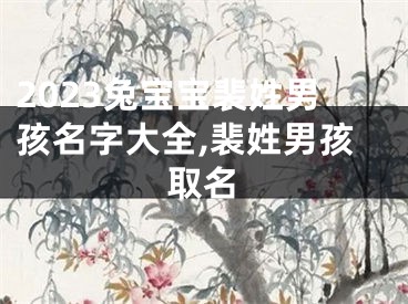 2023兔宝宝裴姓男孩名字大全,裴姓男孩取名