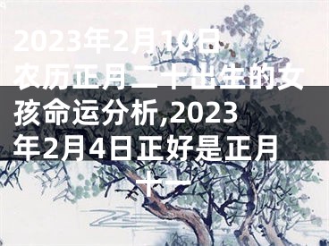 2023年2月10日农历正月二十出生的女孩命运分析,2023年2月4日正好是正月十一