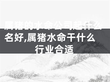 属猪的水命公司起什么名好,属猪水命干什么行业合适