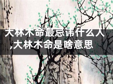 大林木命最忌讳什么人,大林木命是啥意思