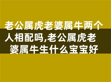 老公属虎老婆属牛两个人相配吗,老公属虎老婆属牛生什么宝宝好