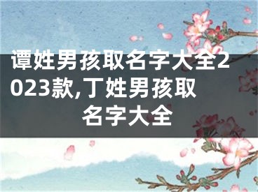 谭姓男孩取名字大全2023款,丁姓男孩取名字大全
