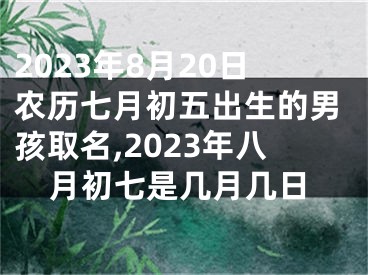 2023年8月20日农历七月初五出生的男孩取名,2023年八月初七是几月几日